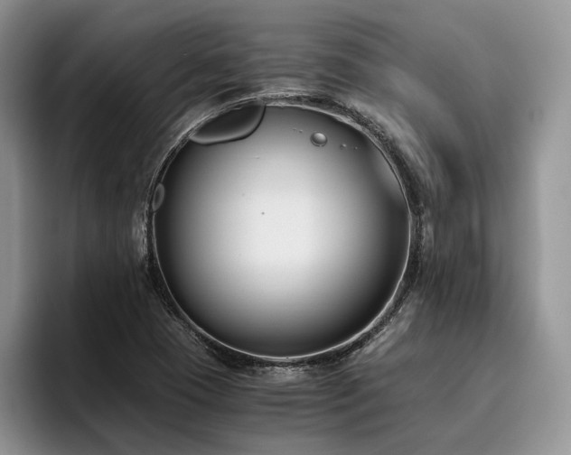 X0000096141409200801181123