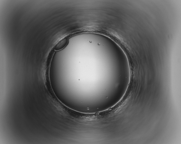 X0000096141410200801181123
