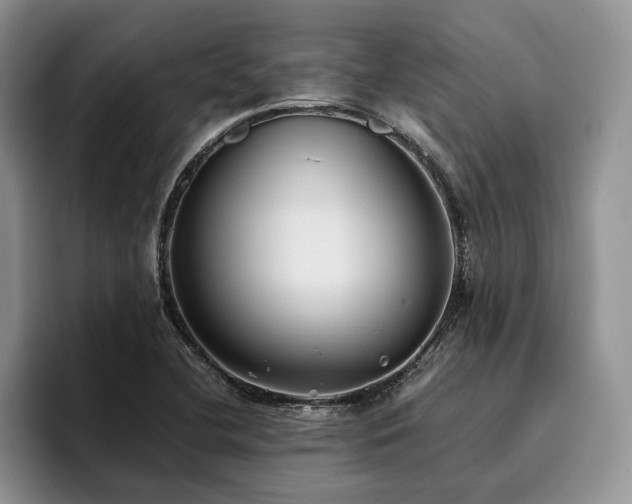 X0000096141412200801181123