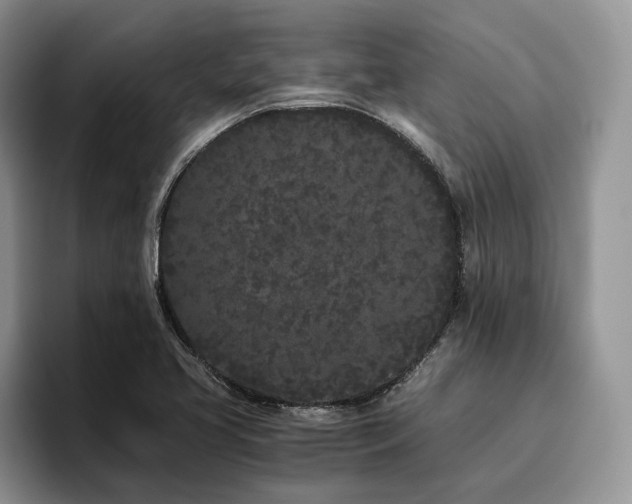 X0000096141413200801181123