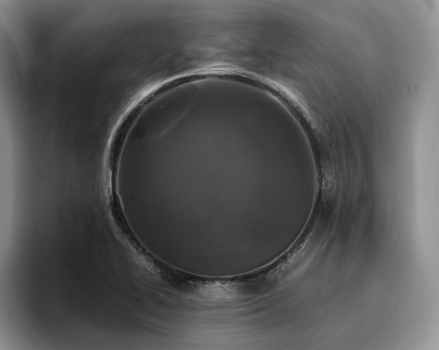 X0000096141414200801181123
