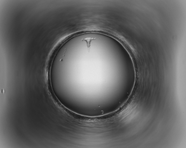 X0000096141416200801181123