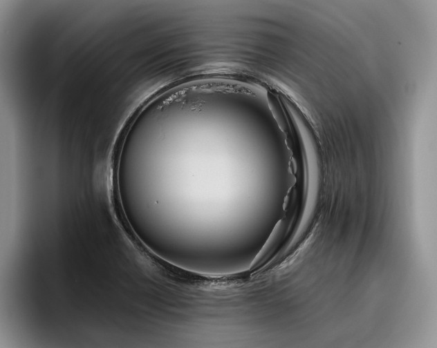X0000096141418200801181123