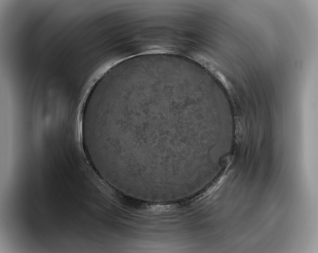 X0000096141419200801181123