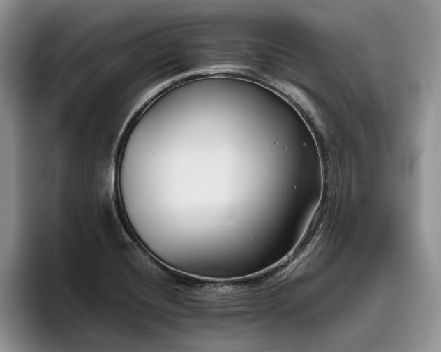 X0000096141420200801181123