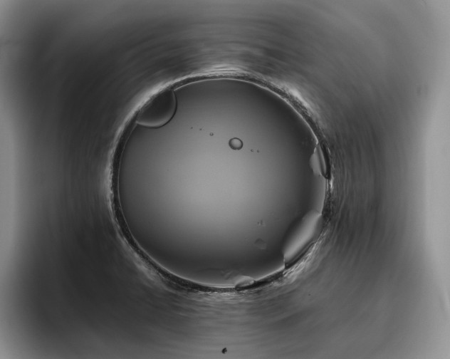 X0000096141422200801181124