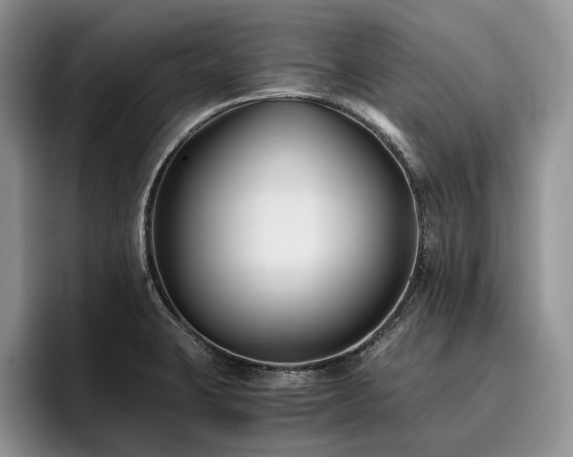 X0000096141423200801181124
