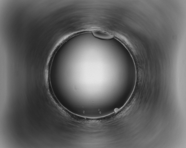 X0000096141424200801181124