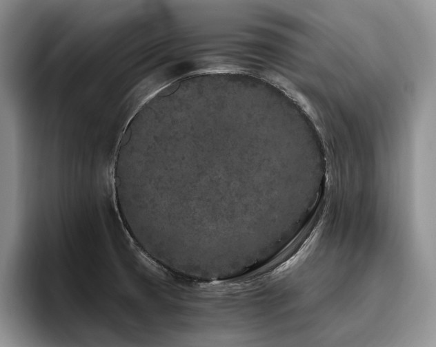 X0000096141425200801181124