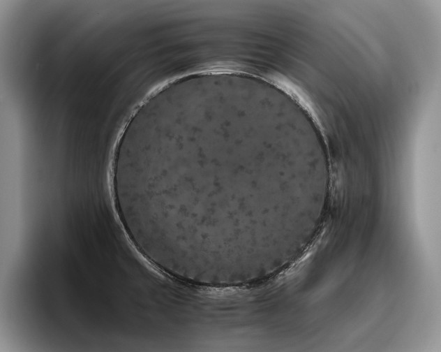 X0000096141429200801181124