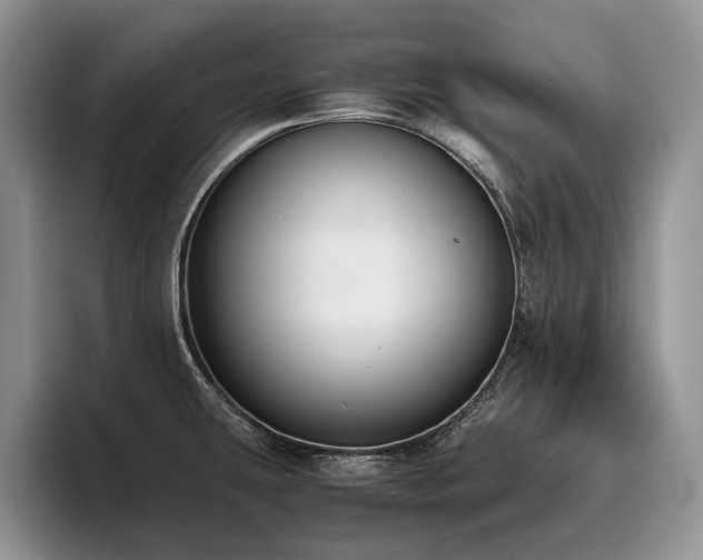 X0000096141431200801181124