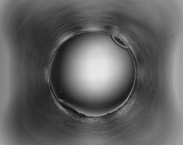 X0000096141433200801181124