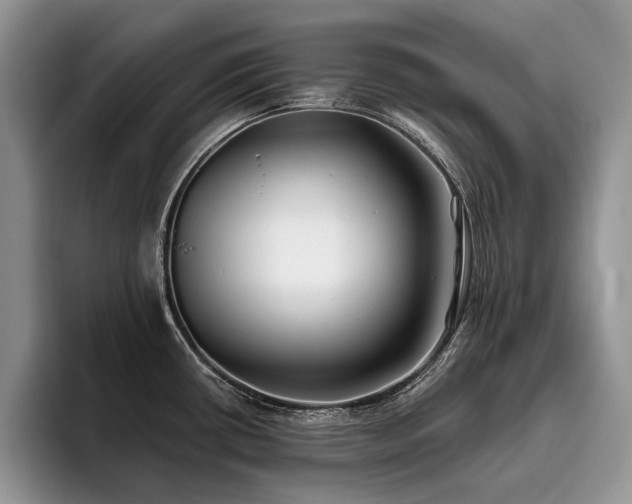 X0000096141434200801181124