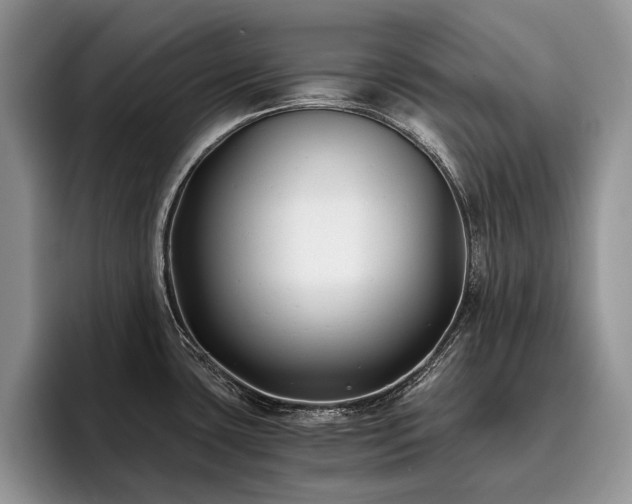 X0000096141435200801181124