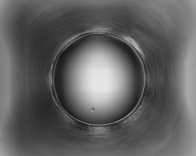 X0000096141436200801181124