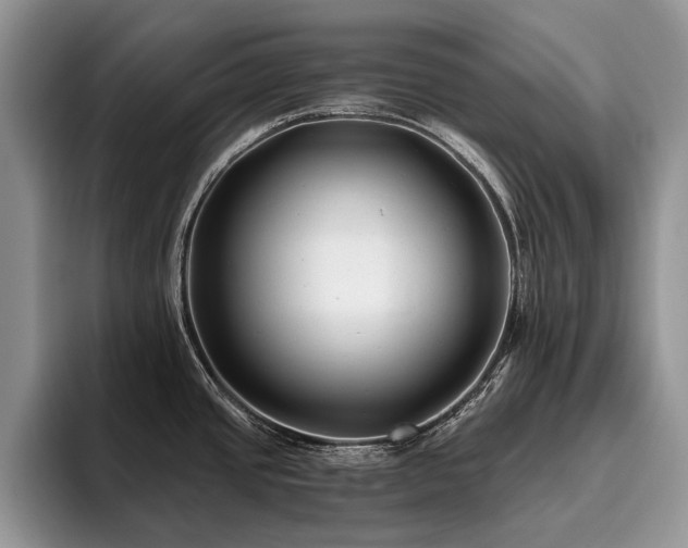X0000096141437200801181124
