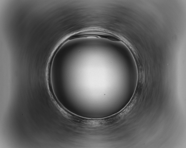 X0000096141438200801181124