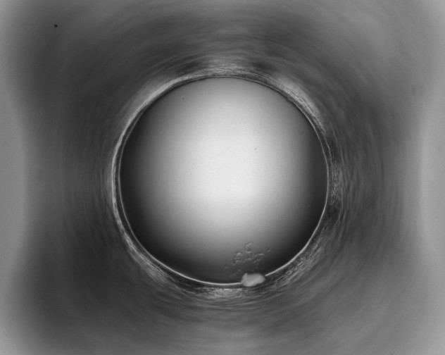 X0000096141439200801181124