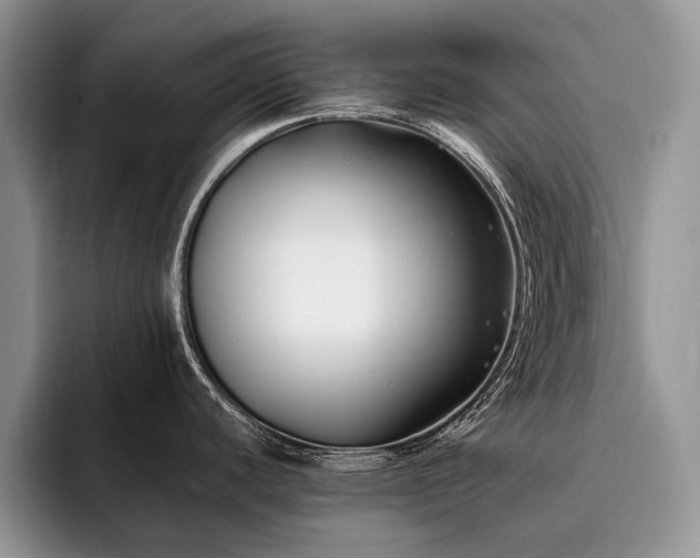 X0000096141440200801181124