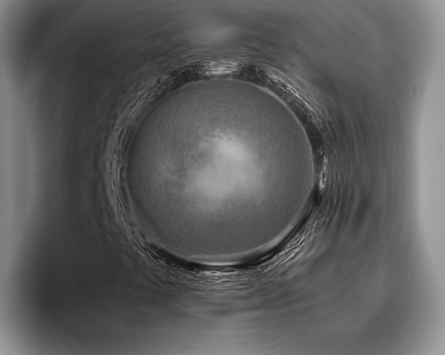 X0000096141441200801181123