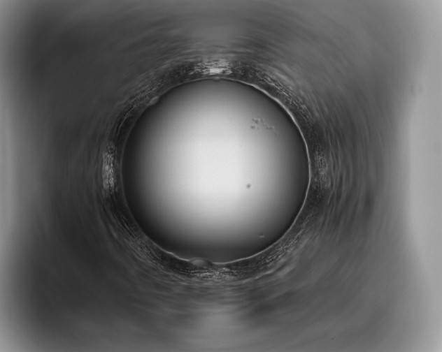 X0000096141442200801181123