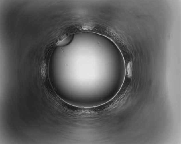 X0000096141443200801181123
