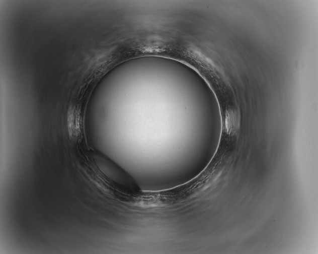 X0000096141444200801181123