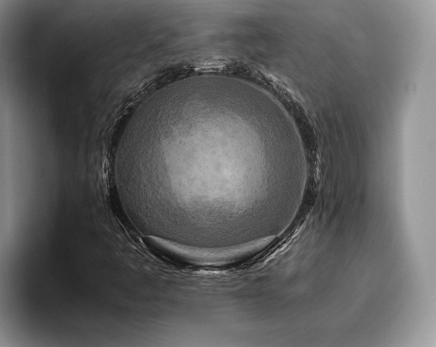 X0000096141445200801181123