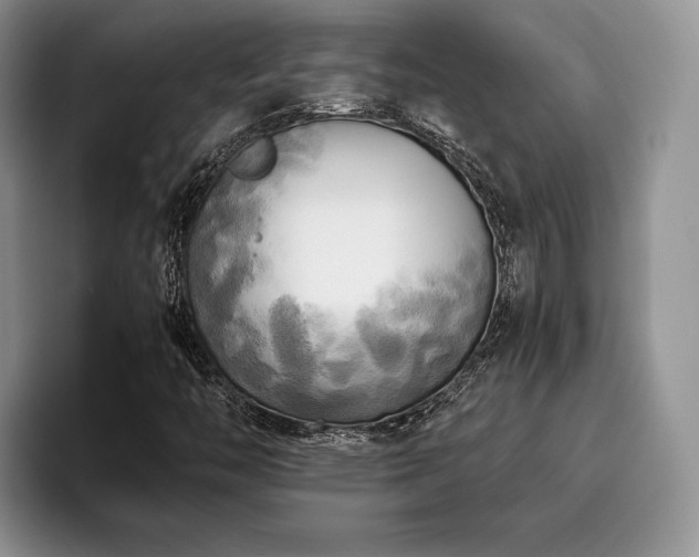 X0000096141446200801181123