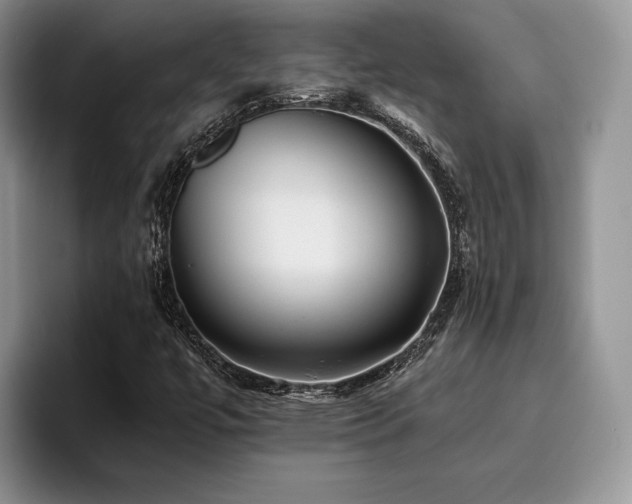 X0000096141447200801181123