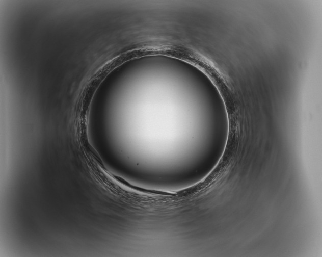 X0000096141448200801181123