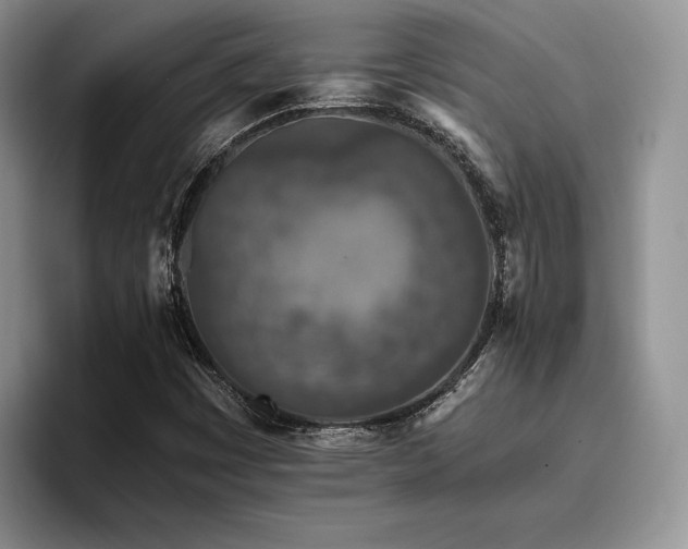 X0000096141449200801181123