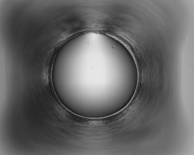 X0000096141451200801181123