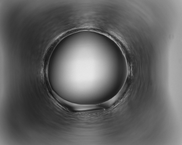 X0000096141452200801181123