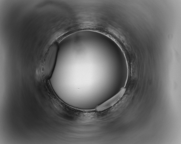 X0000096141453200801181123