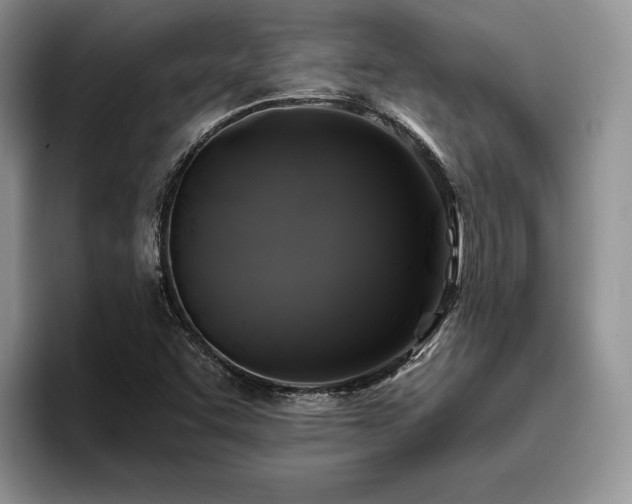 X0000096141455200801181123