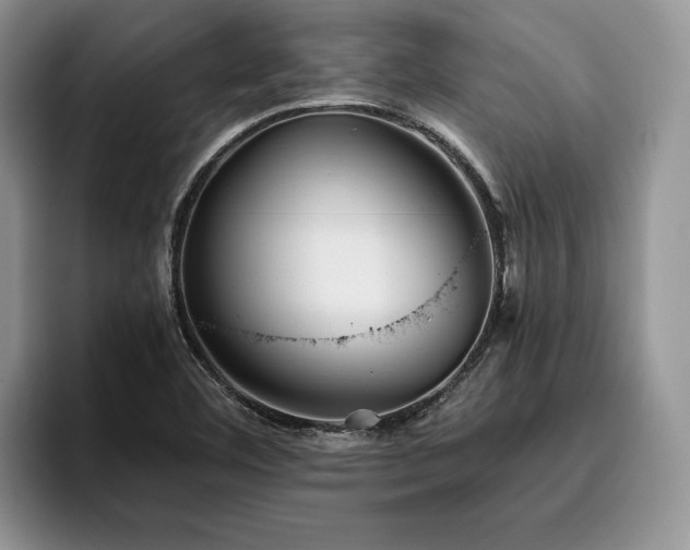 X0000096141460200801181123