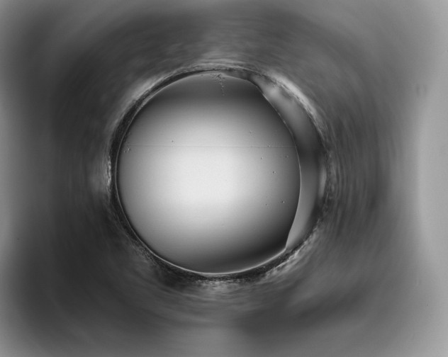 X0000096141461200801181123