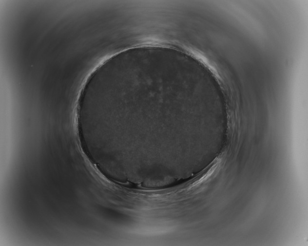 X0000096141463200801181123