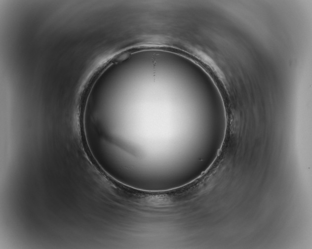 X0000096141464200801181123