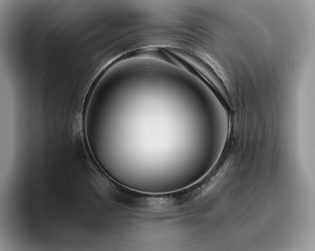 X0000096141465200801181123