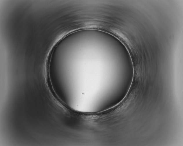 X0000096141467200801181123