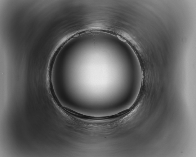 X0000096141469200801181123