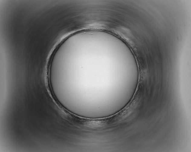 X0000096141470200801181123