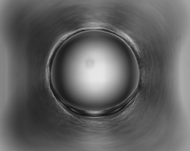 X0000096141472200801181123