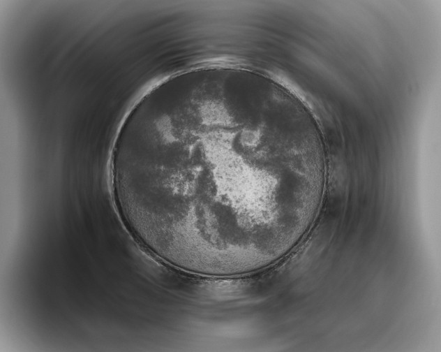 X0000096141474200801181123