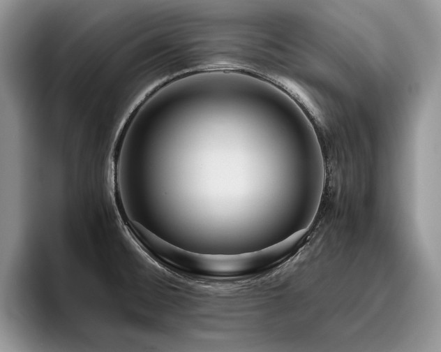 X0000096141476200801181123