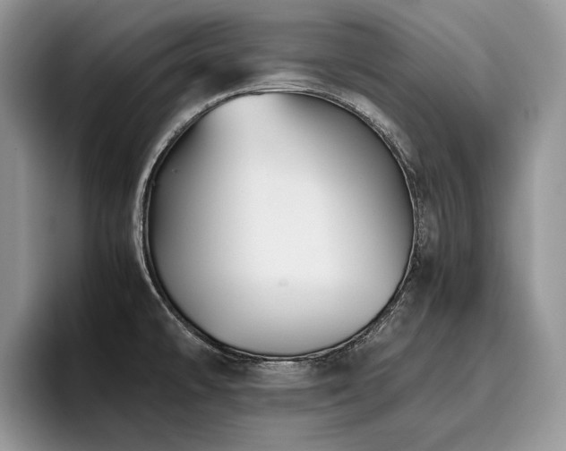 X0000096141478200801181123