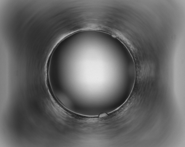 X0000096141479200801181123
