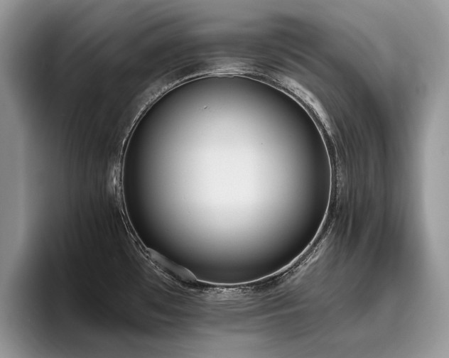 X0000096141481200801181123